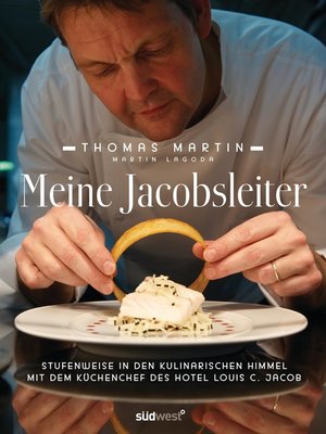cover image of Meine Jacobsleiter